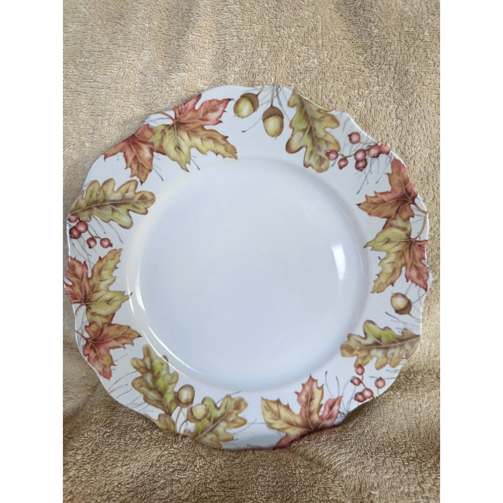 NOS Pier 1 Imports Mazey Critters Porcelain Dinner Plate 10 1/2” Never Used